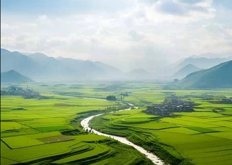 《農(nóng)村黑臭水體治理工作指南》來了！