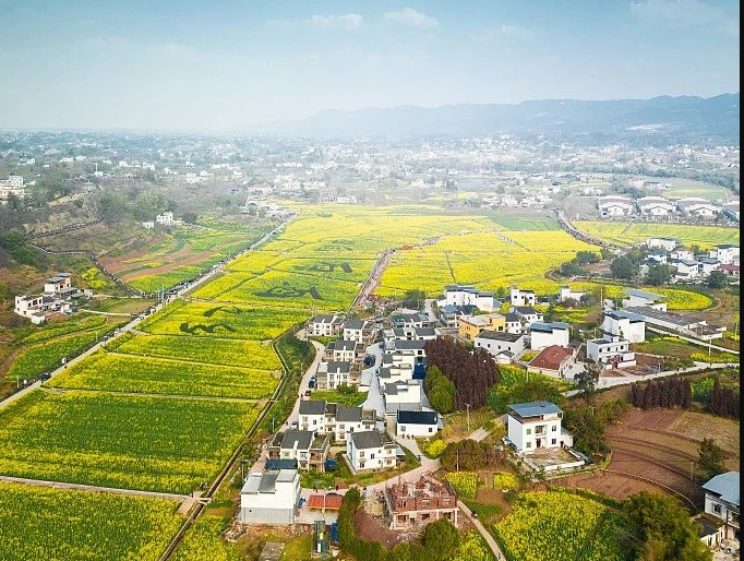 《四川省農(nóng)村生活污水處理設(shè)施運行維護(hù)管理辦法》自2024年3月1日起施行！