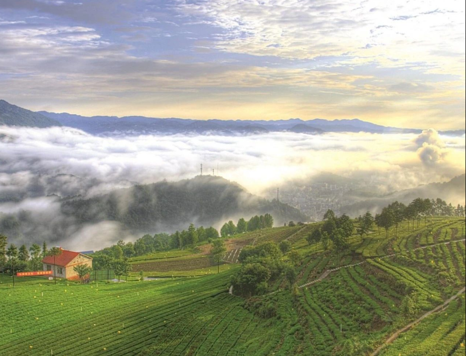 農(nóng)村生活污水治理率達(dá)到46.58%，湖北省印發(fā)2024年全省生態(tài)環(huán)境工作要點