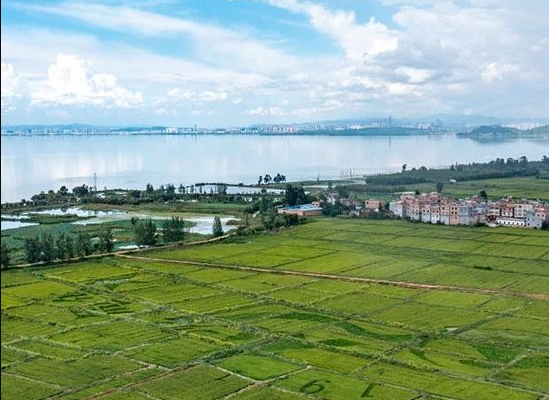 江蘇：計劃2024年底農(nóng)村生活污水治理率達57%以上