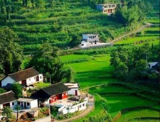 農(nóng)業(yè)農(nóng)村部辦公廳、財政部辦公廳關(guān)于做好2024年農(nóng)業(yè)產(chǎn)業(yè)融合發(fā)展項目申報通知