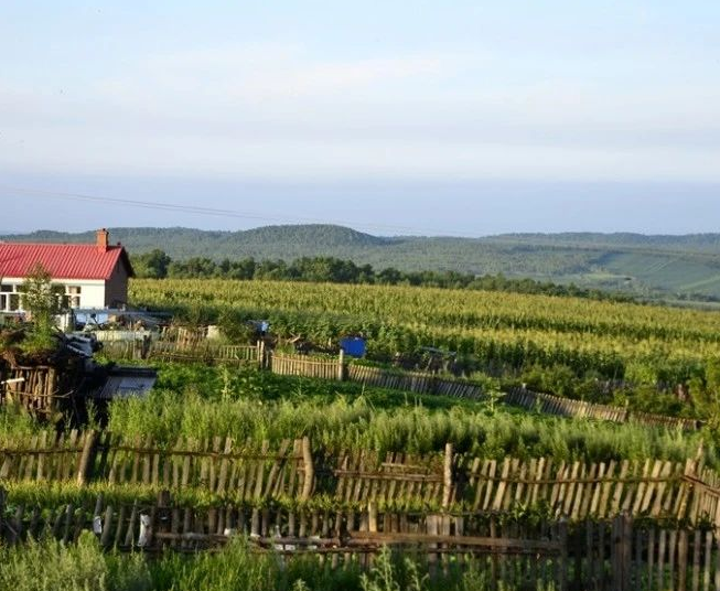 黑龍江省2024年農(nóng)村生活污水、黑臭水體治理工作方案