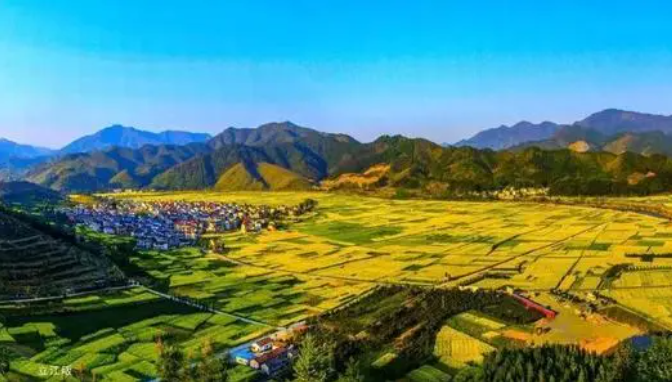 數(shù)字鄉(xiāng)村建設(shè)是推動(dòng)鄉(xiāng)村全面振興的重要突破口