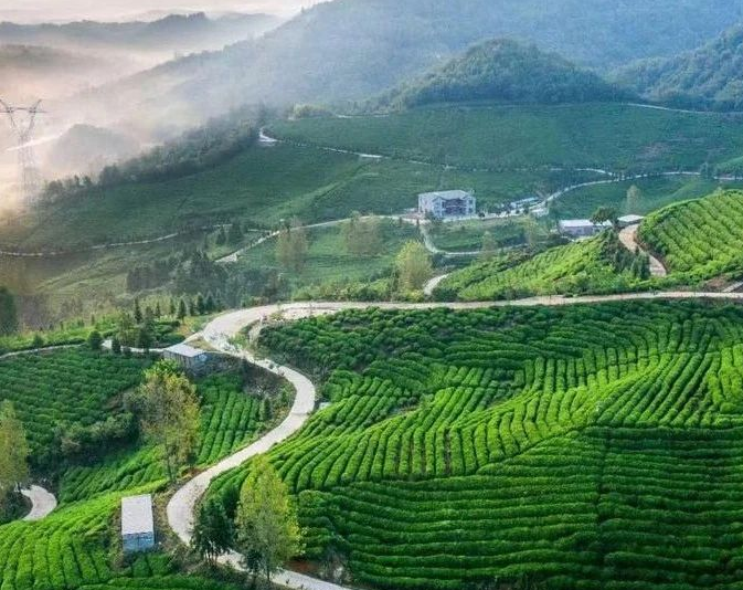 《山西開(kāi)展農(nóng)村黑臭水體治理辦實(shí)辦細(xì)辦牢民生實(shí)事工作方案》！