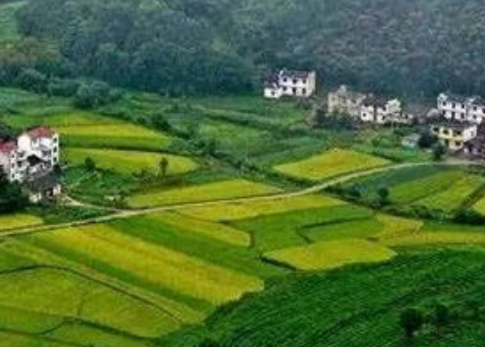 年安排3億元！福建加快推進(jìn)農(nóng)村生活污水提升治理！