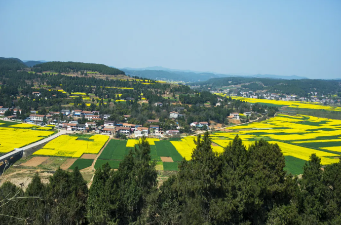 深度研究！探索產(chǎn)業(yè)融合發(fā)展的農(nóng)業(yè)現(xiàn)代化道路