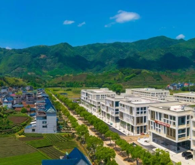 中央網(wǎng)信辦等四部門印發(fā)《2024年數(shù)字鄉(xiāng)村發(fā)展工作要點》