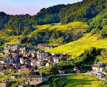 14.15億元！福建下達(dá)鄉(xiāng)村振興示范補(bǔ)助資金