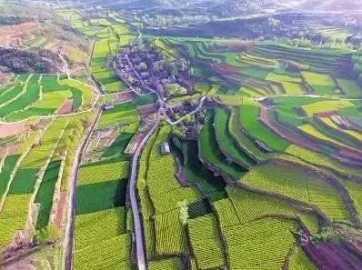 關(guān)于“生態(tài)修復(fù)+產(chǎn)業(yè)導(dǎo)入”的探索，推動生活、生態(tài)、生產(chǎn)空間整體提升