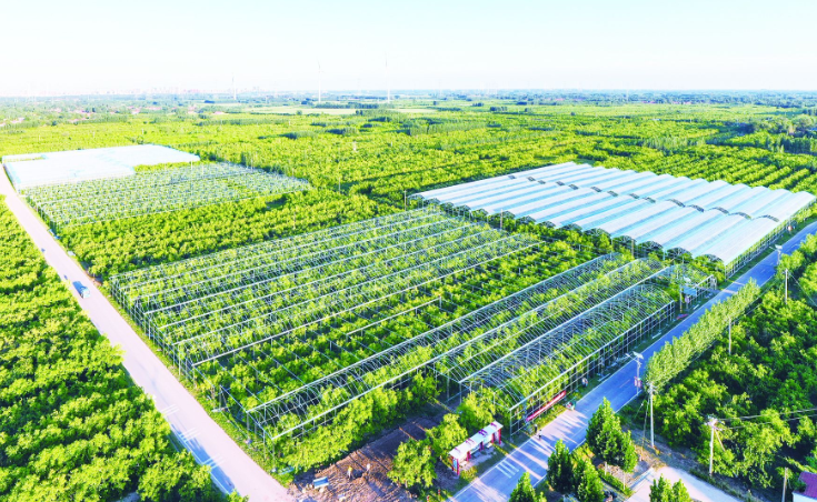 農(nóng)業(yè)農(nóng)村部：持續(xù)加大相關(guān)技術(shù)標(biāo)準(zhǔn)制修訂力度，為現(xiàn)代設(shè)施農(nóng)業(yè)發(fā)展提供更加全面的技術(shù)支撐與指引