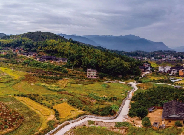 《決定》發(fā)布，與“三農(nóng)”相關(guān)的9個(gè)關(guān)鍵詞