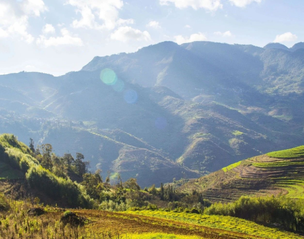 事關設施農業(yè)投資項目獎補，云南兩部門印發(fā)申報指南