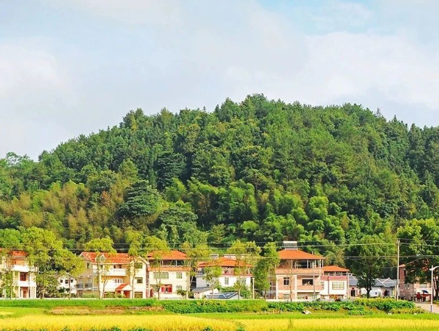 生態(tài)環(huán)境部關于發(fā)布國家重點研發(fā)計劃 “大氣與土壤、地下水污染綜合治理”等3個重點專項2024年度項目申報指南的通知