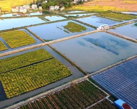 農(nóng)業(yè)農(nóng)村部答復加快農(nóng)民專業(yè)合作社發(fā)展有關建議