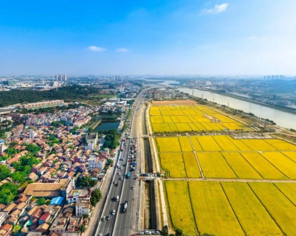 關(guān)于印發(fā)《2025年鄉(xiāng)村振興戰(zhàn)略專項(xiàng)省級組織實(shí)施項(xiàng)目（第二批）入庫申報(bào)指南》的通知