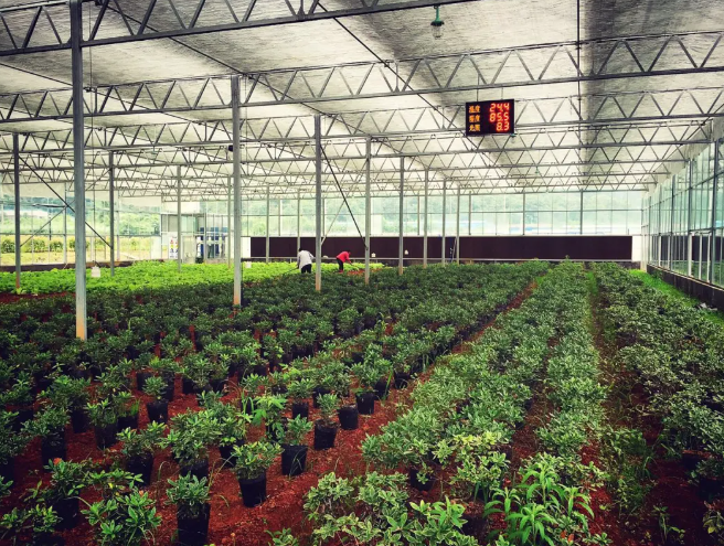 【農業(yè)模式】如何打造好“農業(yè)+”農業(yè)產業(yè)融合發(fā)展模式