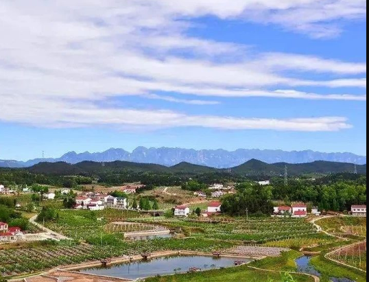 《山東省人民政府辦公廳 關于學習運用“千萬工程”經驗深化農村人居環(huán)境整治提升的實施意見》魯政辦字〔2024〕112號