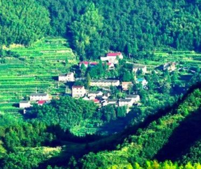 提升污水收集處理及資源化利用設施建設水平，《浙江省城鎮(zhèn)環(huán)境基礎設施建設水平提升工作方案》發(fā)布