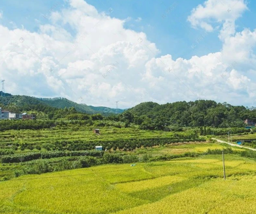 農業(yè)農村部答復關于大力促進現(xiàn)代農業(yè)經營主體健康發(fā)展的提案