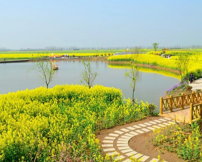 改善鄉(xiāng)村健康環(huán)境，14個部門聯(lián)合制定意見 健康鄉(xiāng)村建設“路線圖”公布