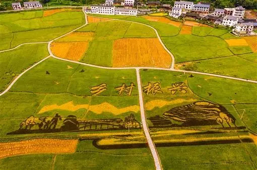 鄉(xiāng)村振興的十個(gè)關(guān)系，你需要搞懂搞透