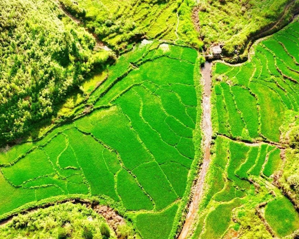 中共中央辦公廳　國務(wù)院辦公廳關(guān)于加強耕地保護(hù)提升耕地質(zhì)量完善占補平衡的意見（全文）