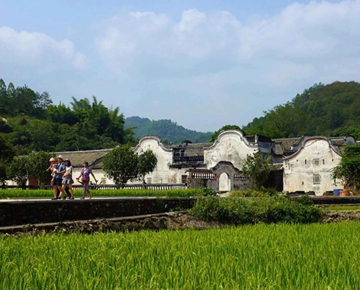 農(nóng)業(yè)農(nóng)村部召開常務(wù)會(huì) 研究部署推進(jìn)幫扶產(chǎn)業(yè)高質(zhì)量發(fā)展和智慧農(nóng)業(yè)發(fā)展等工作