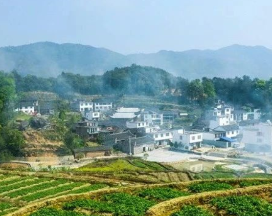 福建省人民政府辦公廳印發(fā)《關(guān)于踐行大食物觀構(gòu)建多元化食物供給體系的實(shí)施方案》的通知