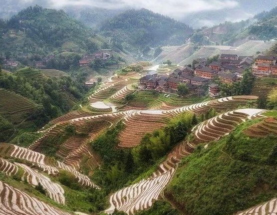 我國擬修法促進漁業(yè)提質(zhì)增效、綠色發(fā)展