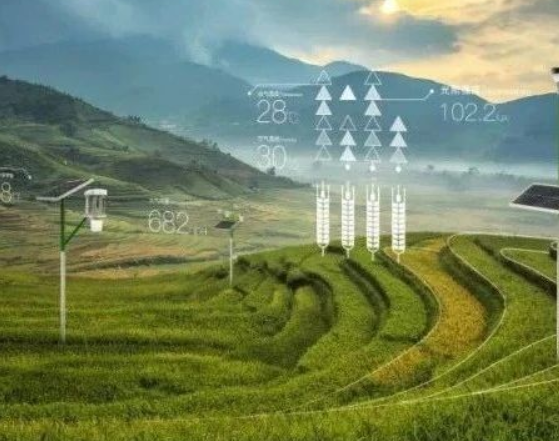 農(nóng)業(yè)農(nóng)村部印發(fā)《關(guān)于大力發(fā)展智慧農(nóng)業(yè)的指導(dǎo)意見》