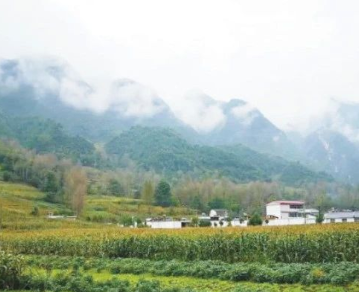 甘肅?。恨r(nóng)村生活污水治理（管控）率達(dá)到29.47%以上