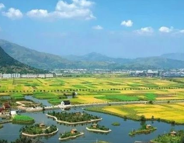 山東印發(fā)實施意見，大力發(fā)展現(xiàn)代設(shè)施農(nóng)業(yè)