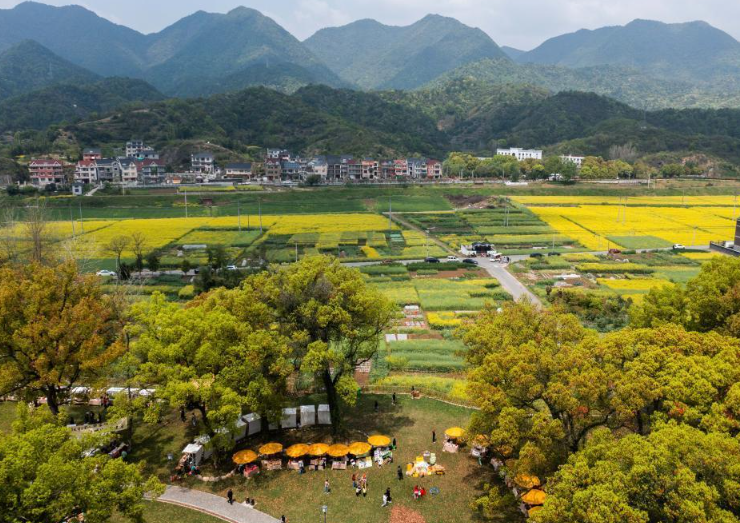 全國首部！浙江為“千萬工程”立法