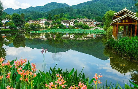 河南出臺行動方案推進漁業(yè)高質(zhì)量發(fā)展