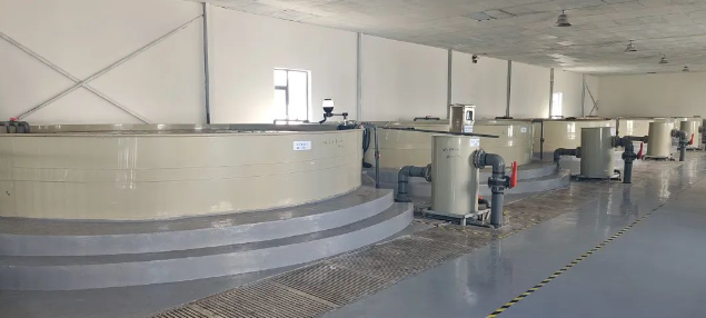 農(nóng)業(yè)新質(zhì)生產(chǎn)力！工廠化循環(huán)水養(yǎng)殖模式賦能漁業(yè)高質(zhì)量發(fā)展