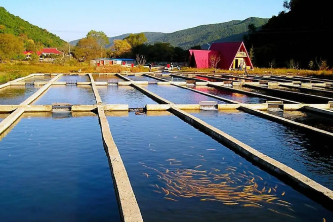 鄉(xiāng)村振興戰(zhàn)略下，水產(chǎn)行業(yè)的方向和機會在哪里?