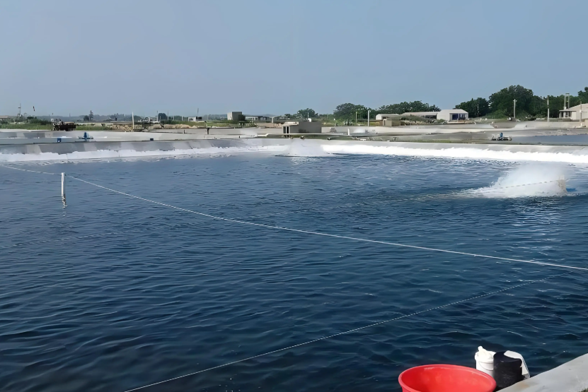 低溫天氣下，水產(chǎn)養(yǎng)殖如何穩(wěn)產(chǎn)保供？這份技術(shù)指引請收好！