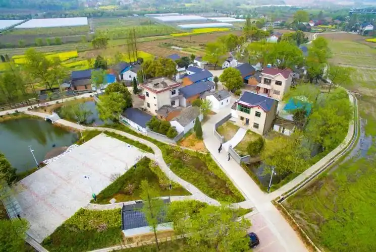 以“農(nóng)業(yè)新質(zhì)生產(chǎn)力”為引擎 全面推進鄉(xiāng)村振興