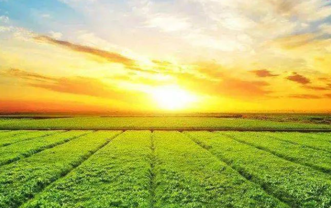 政策解讀！“十五五”農(nóng)業(yè)農(nóng)村領域研究重點及方向