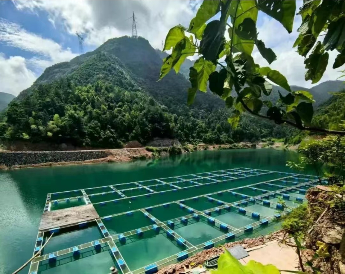 農(nóng)業(yè)農(nóng)村部專家組調(diào)研商達(dá)公用縉云山泉魚生態(tài)養(yǎng)殖項(xiàng)目