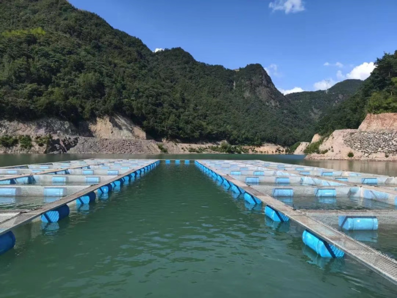 高山水庫(kù)商達(dá)公用生態(tài)魚養(yǎng)殖基地正式啟用